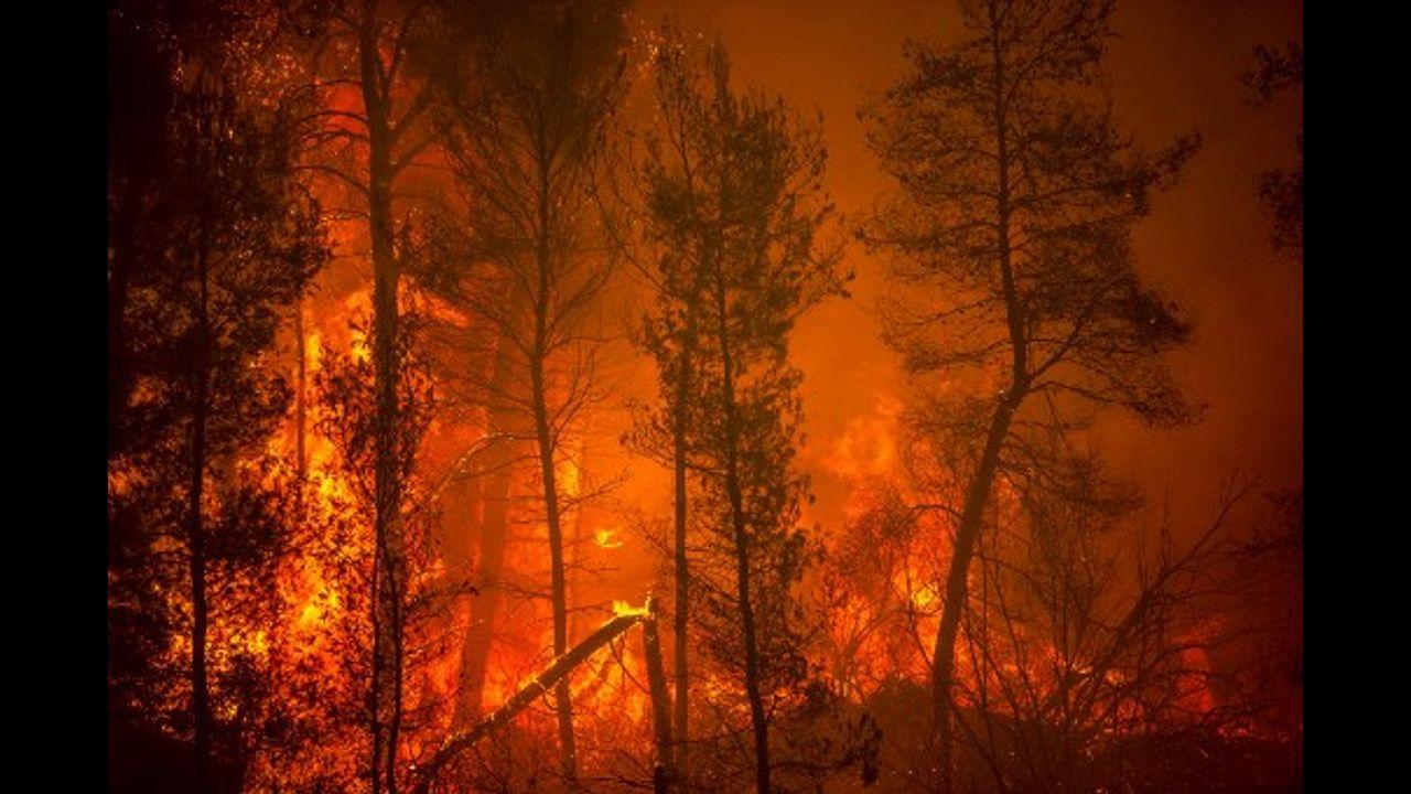 A blaze engulfs trees in its path as forest fires approach the village of Pefki on Evia. Greece and Turkey have been battling devastating fires for nearly two weeks as the region suffered its worst heatwave in decades, which experts have linked to climate change.